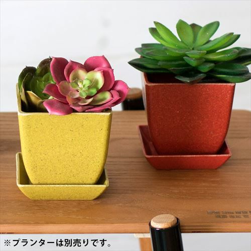 アンティーク風 2種類3点 植木鉢 鉢皿付き 新品 ETM 土にかえる生分解性のスクエア植木鉢プレート 一辺約8.7cm 全4色