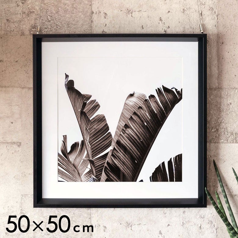 アートパネル壁掛けインテリアリーフモノクロ50×50cm[66805]【アートフレーム絵画額入りモノトーンパームツリー写真アートポスターおしゃれ葉ボタニカル壁飾り絵ウォールフォトリビング寝室プリント雑貨ヤシの木南国リゾート正方形】