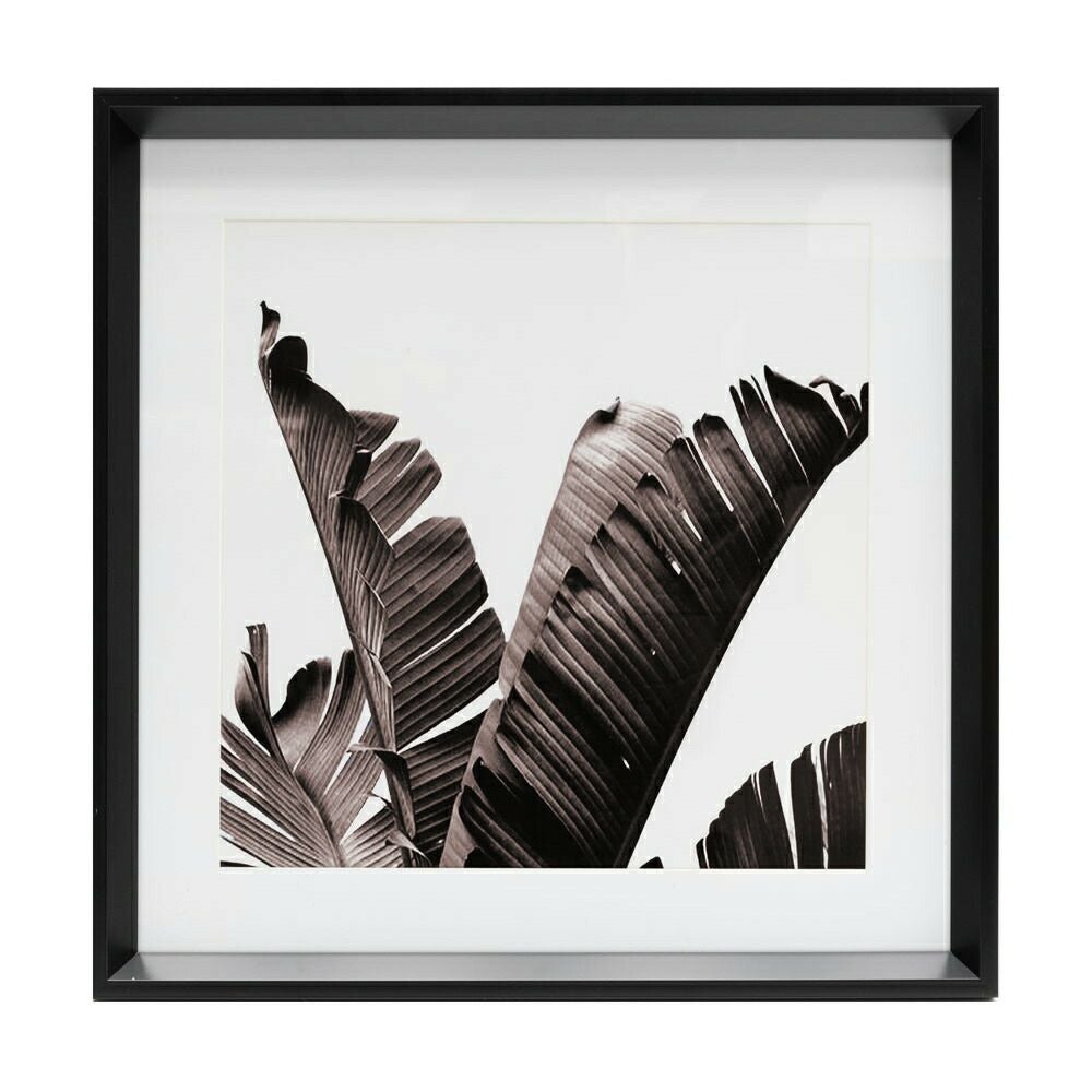 アートパネル 壁掛け インテリア リーフ モノクロ 50×50cm アート