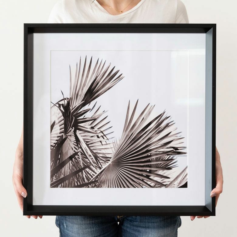 アートフレーム モノトーン ボタニカル リーフ 50×50cm 壁掛け