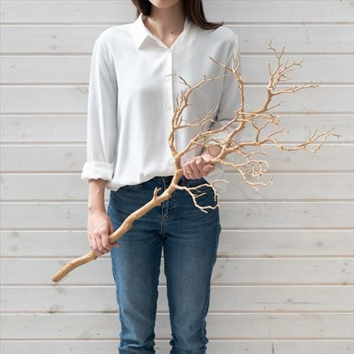 000000002888-05.jpg?size=l&w=