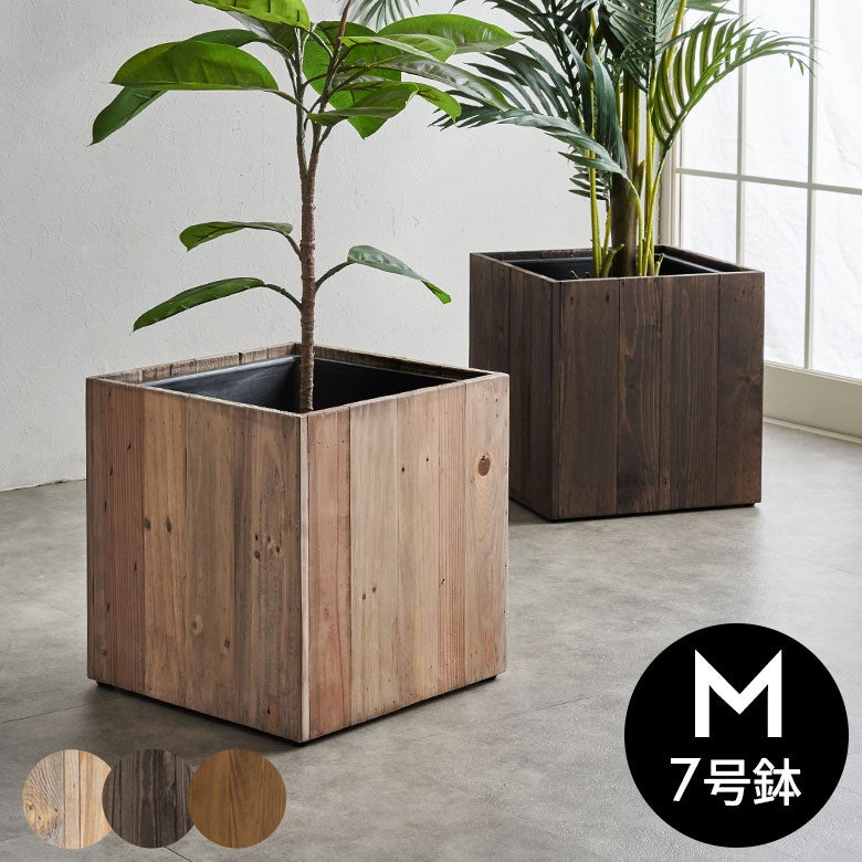 ボックスウッド 観葉植物 茶色鉢 ボックスウッド 観葉植物 茶色鉢 【公式通販】