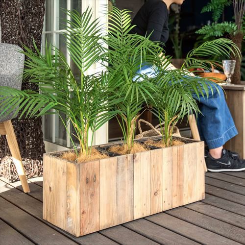 000000003029-04.jpg?size=l&w=