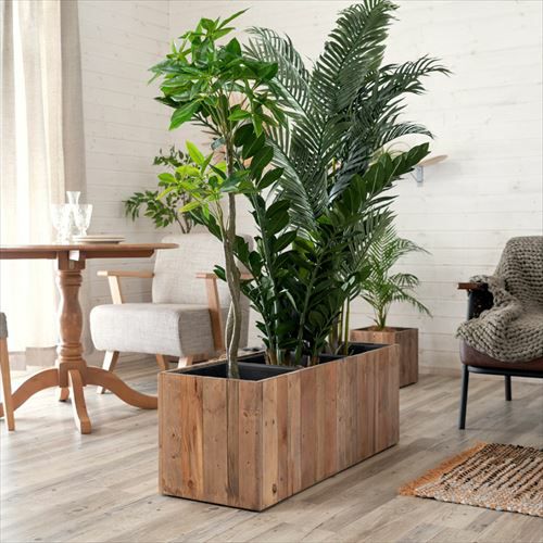 000000003030-04.jpg?size=l&w=