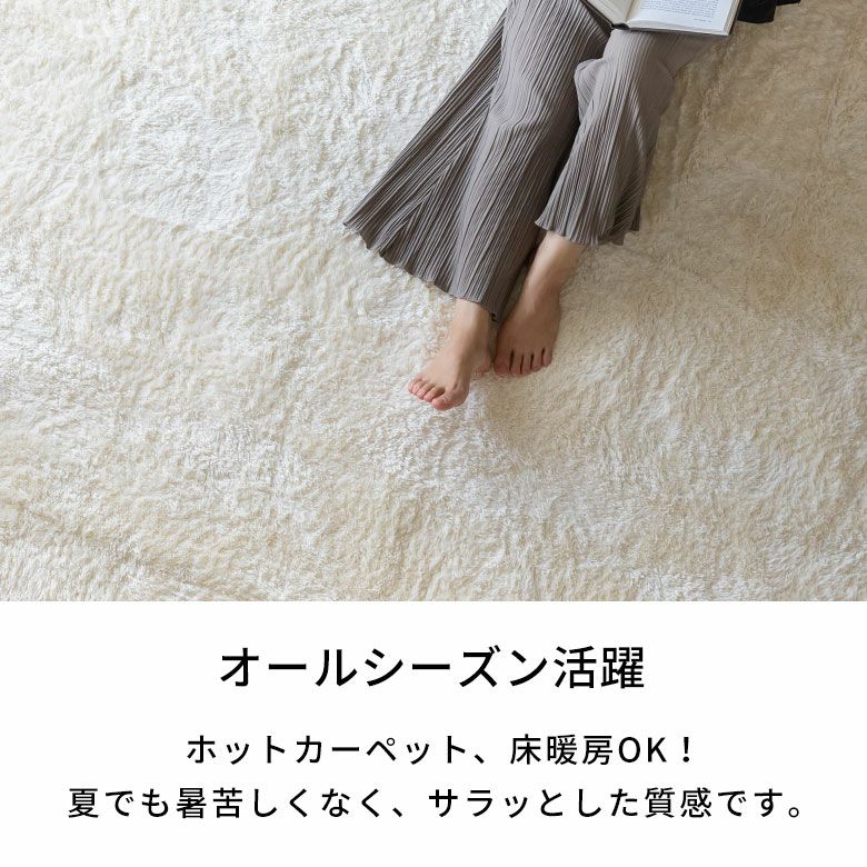 滑り止め付き 洗えるマイクロファイバーフラッフィラグカーペット 130