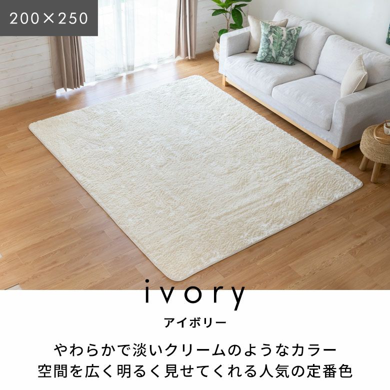 洗えるマイクロファイバーフラッフィラグカーペット 100×140cm 滑り