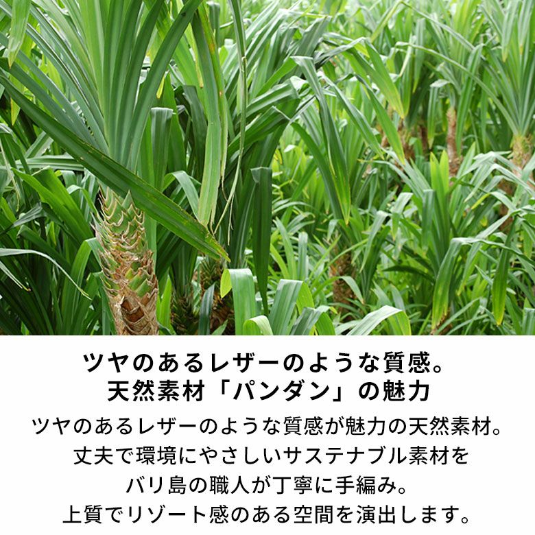 ゴミ箱パンダン製正方形中の袋が見えない被せるタイプ[set-11560set-11561set-11562]【ダストボックスアジアンバリ雑貨アジアン雑貨おしゃれボックス見えないモダンエスニックナチュラルゴミ箱ごみ箱インテリア寝室アジアン雑貨】