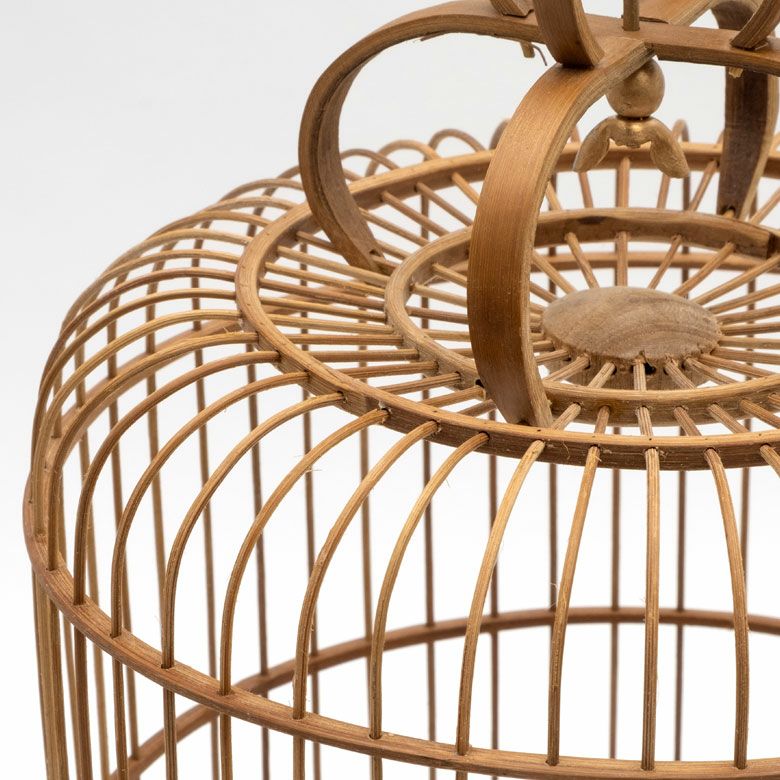 000000003645-02.jpg?size=l&w=