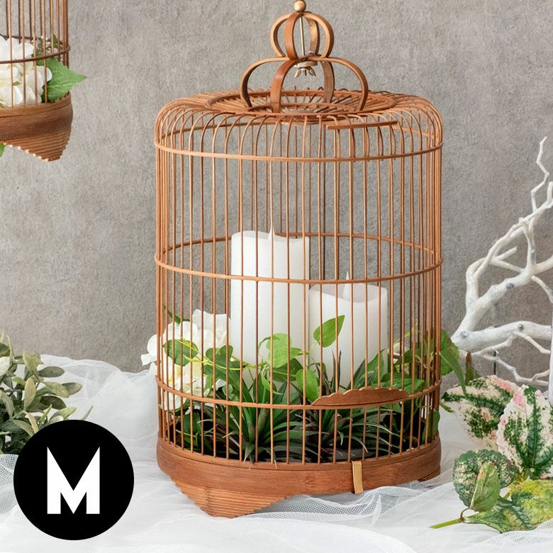 000000003646-01.jpg?size=l&w=