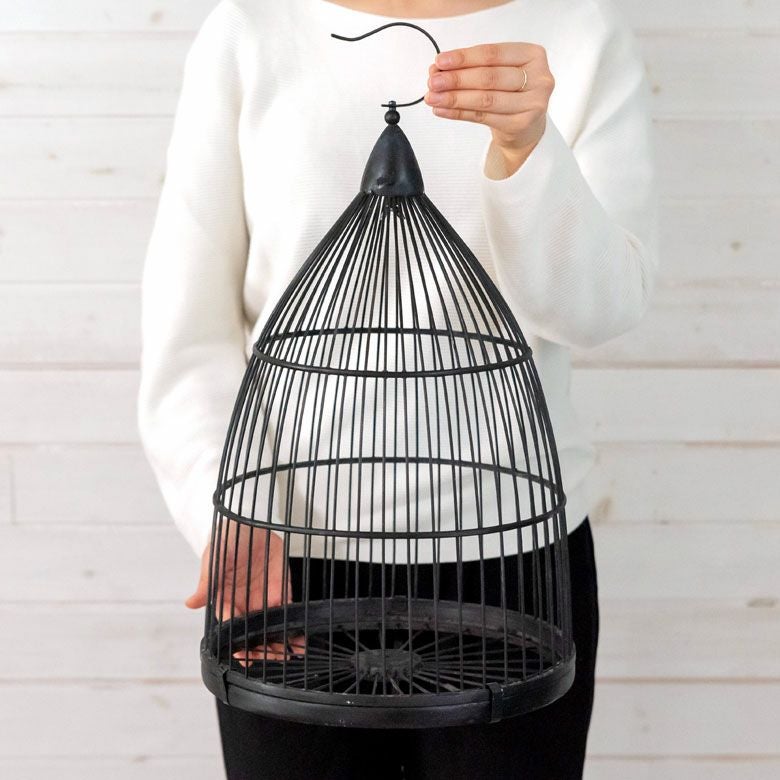 000000003648-04.jpg?size=l&w=