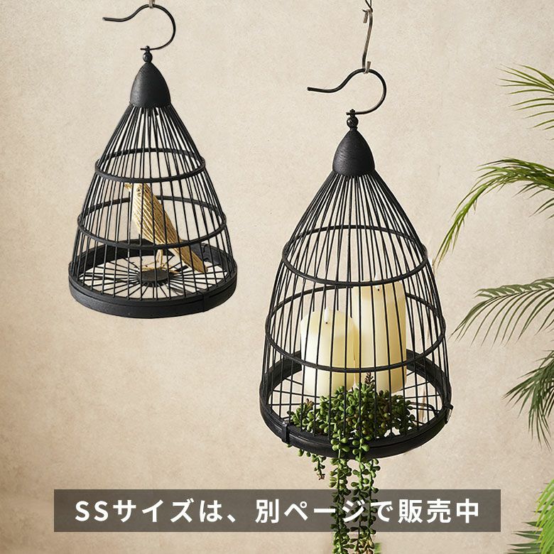 000000003648-14.jpg?size=l&w=