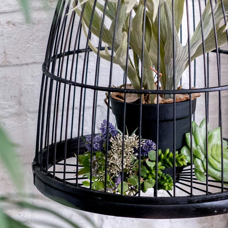 000000003648-16.jpg?size=l&w=