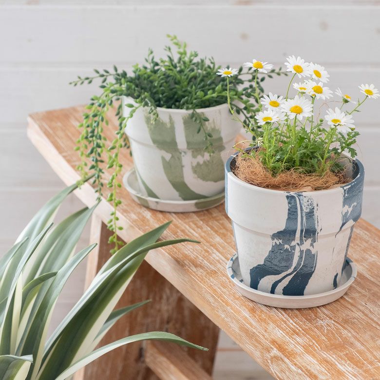 000000004048-02.jpg?size=l&w=