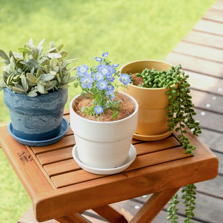 000000004050-03.jpg?size=l&w=