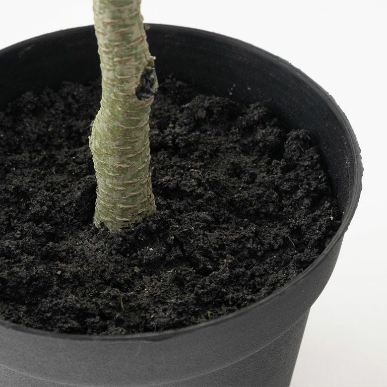 フェイクグリーン オリーブ 高さ 70cm 鉢付き 観葉植物 グリーン