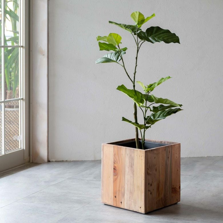flying Fin 観葉植物ケース flying Fin 観葉植物ケース 【公式通販】