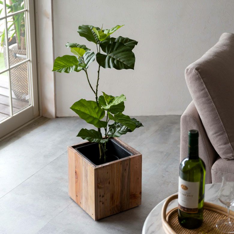 000000004097-19.jpg?size=l&w=