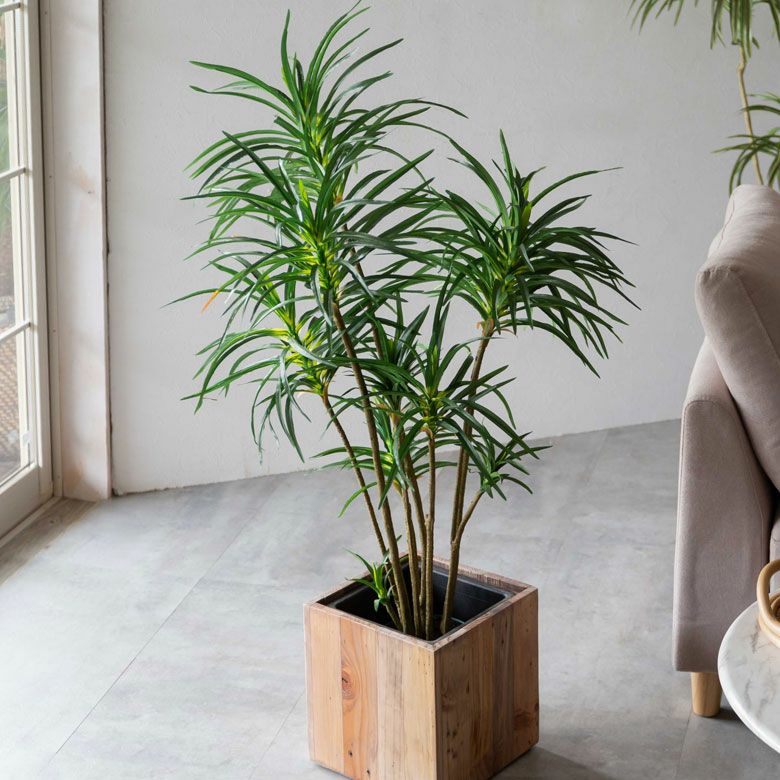 000000004098-01.jpg?size=l&w=