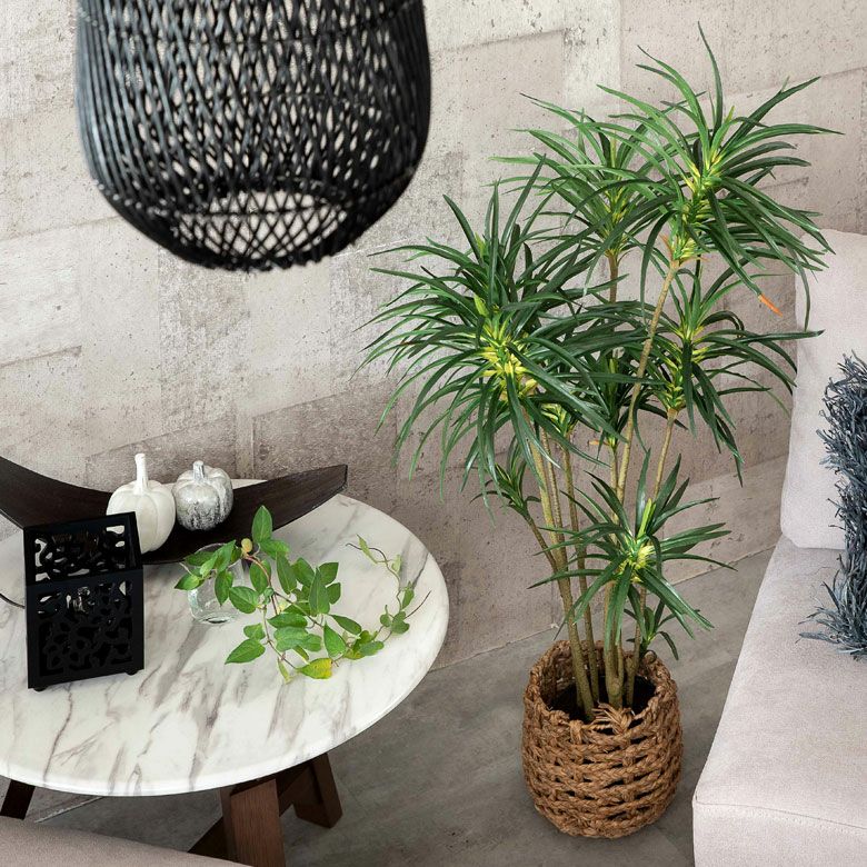 フェイクグリーン GREEN COFFRET インディア180cm 人工観葉植物 フェイクグリーン