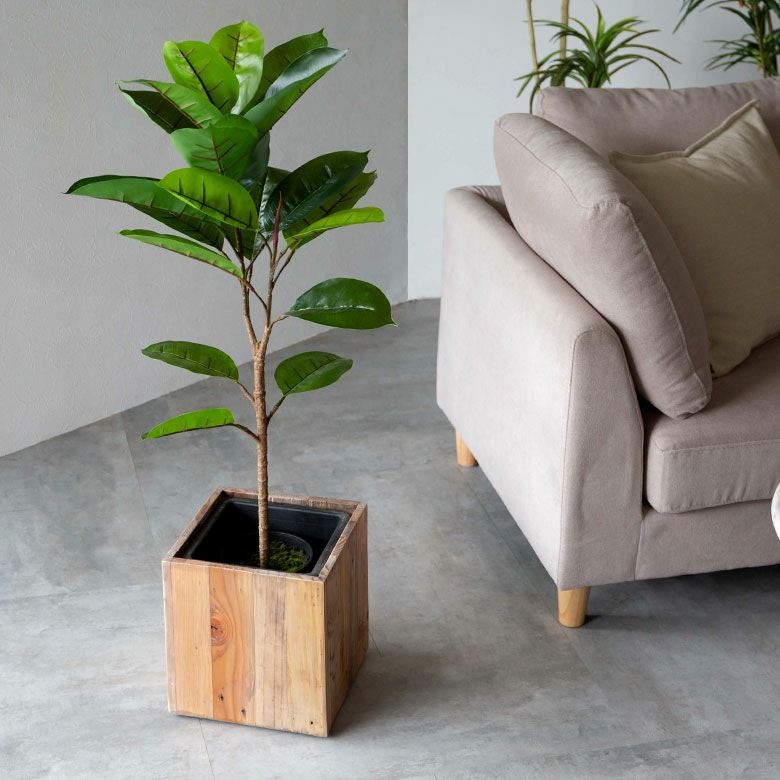 000000004100-01.jpg?size=l&w=