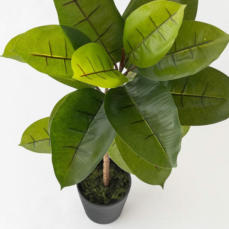 フェイクグリーン ゴムの木 高さ 95cm 鉢付き 観葉植物 グリーン