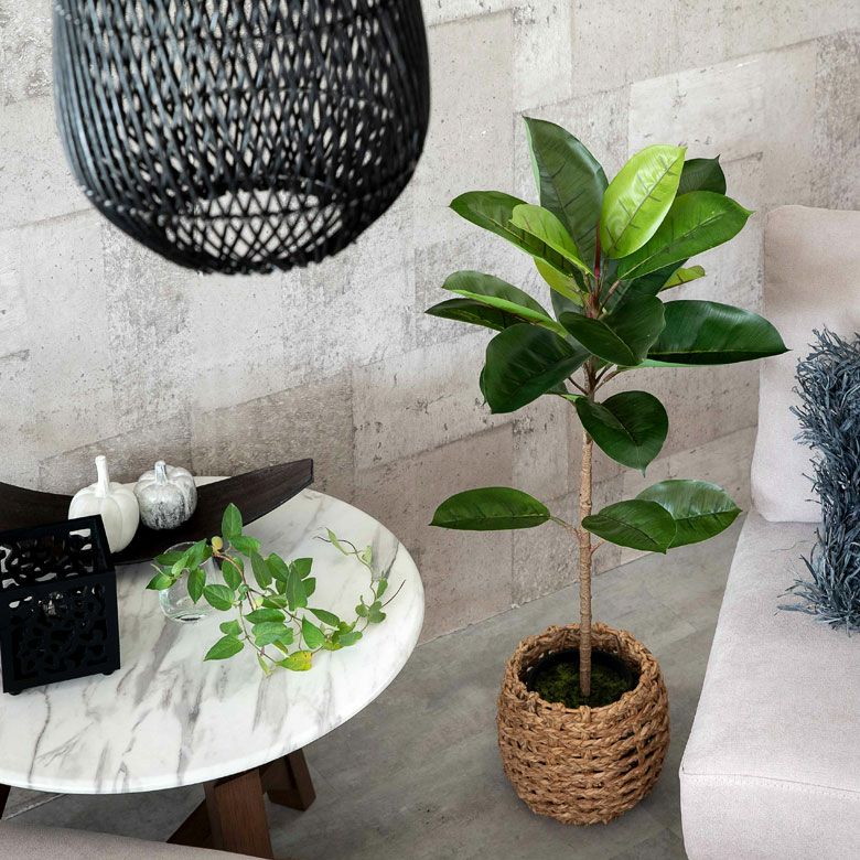 000000004100-08.jpg?size=l&w=