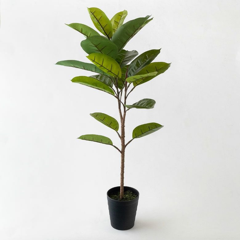 000000004100-09.jpg?size=l&w=