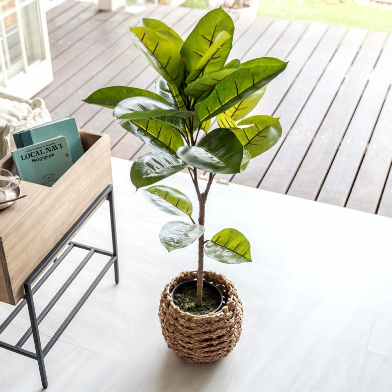 フェイクグリーン ゴムの木 高さ 95cm 鉢付き 観葉植物 グリーン