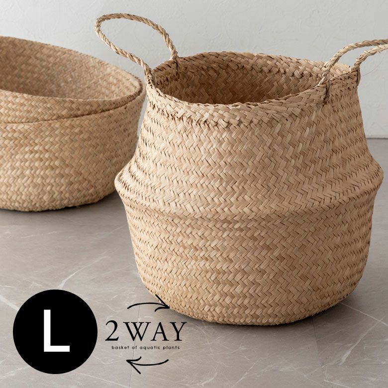 000000004229-01.jpg?size=l&w=