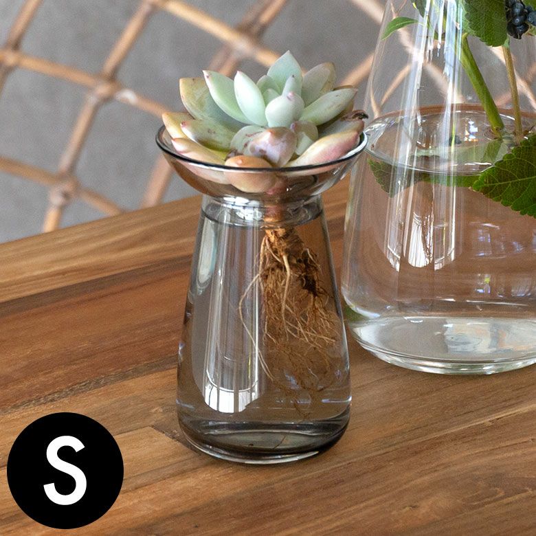 000000004308-01.jpg?size=l&w=