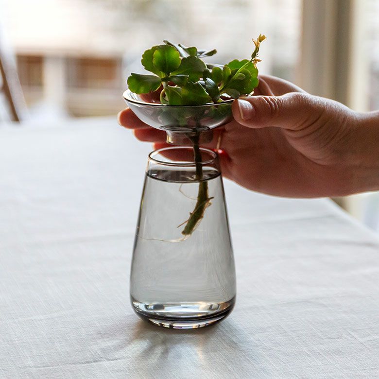 000000004308-02.jpg?size=l&w=