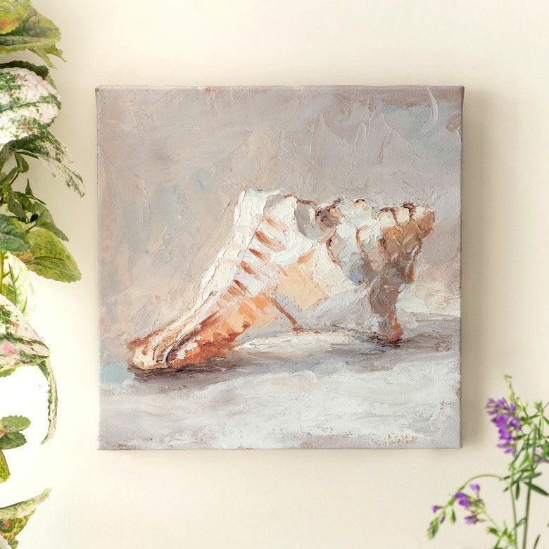 アートパネル シェル 貝 キャンパス パネル イラスト デッサン 約 W