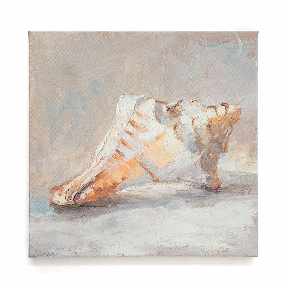 柔らかなタッチで描く貝殻のキャンバスアートパネル 約W30×D30×H2.7cm
