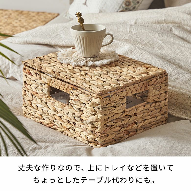 かご バスケット 蓋付き Mサイズ 収納バスケット フタ付き 約 W 33 cm