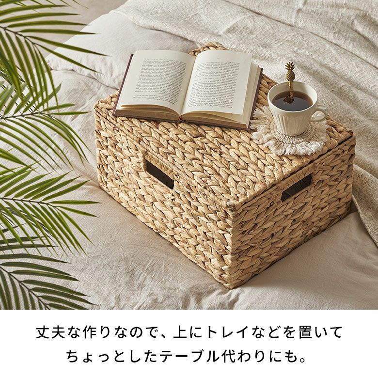 かご バスケット 蓋付き Lサイズ 収納ボックス フタ付き 約 W 43 cm D