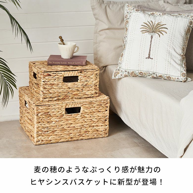 かご バスケット 蓋付き M L 2個セット 収納バスケット 収納ボックス