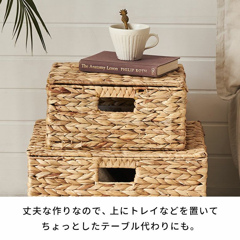 かご バスケット 蓋付き M L 2個セット 収納バスケット 収納ボックス
