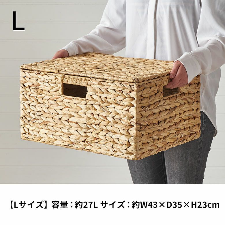 かご バスケット 蓋付き M L 2個セット 収納バスケット 収納ボックス