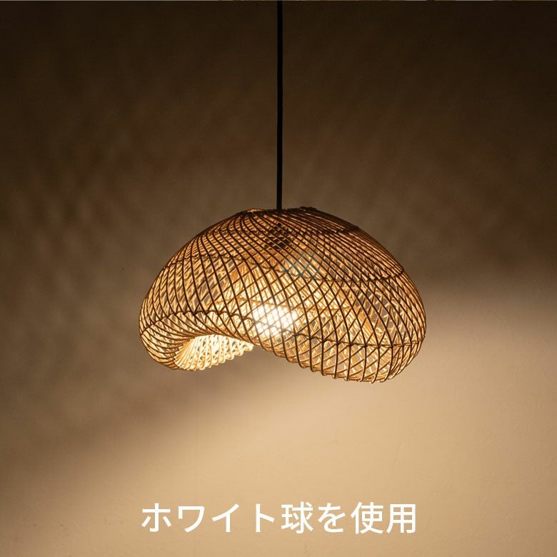 000000004800-14.jpg?size=l&w=