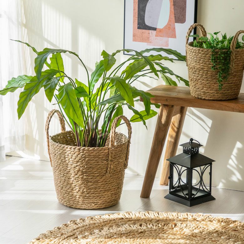 000000004823-02.jpg?size=l&w=