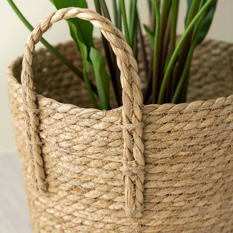 000000004824-03.jpg?size=l&w=