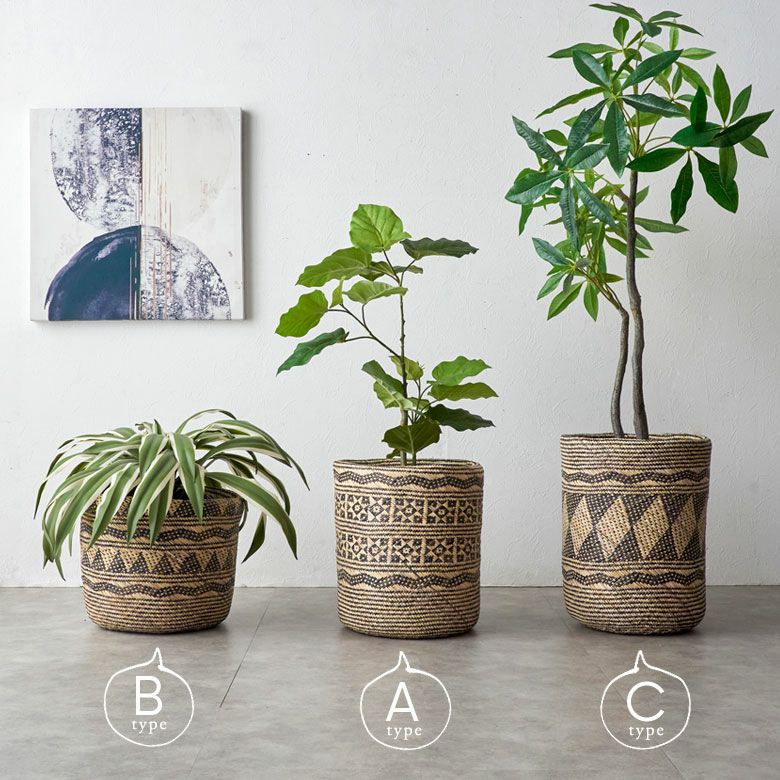 000000004879-08.jpg?size=l&w=