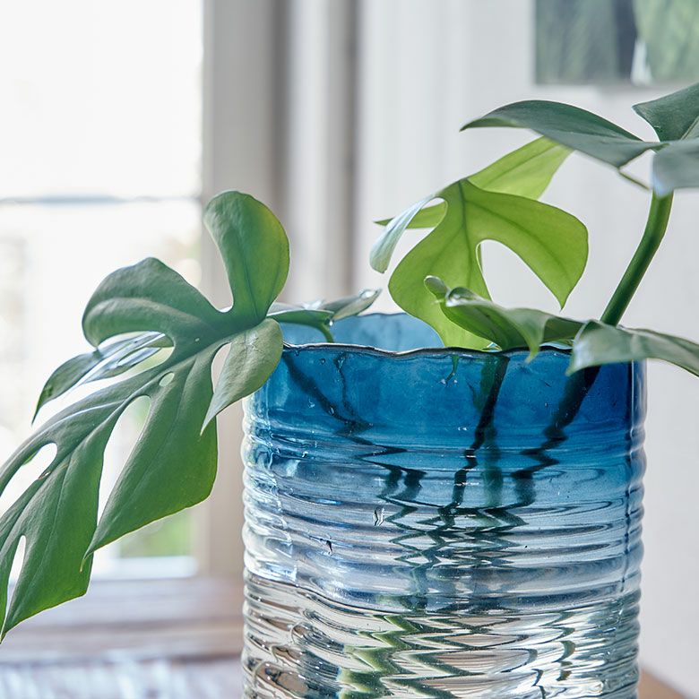 000000004981-04.jpg?size=l&w=