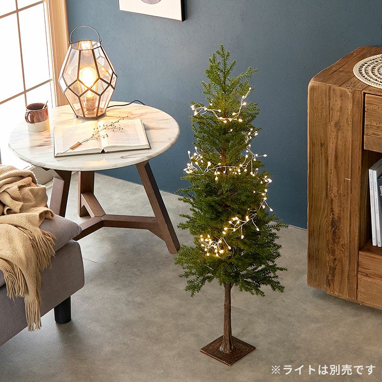 000000005231-02.jpg?size=l&w=