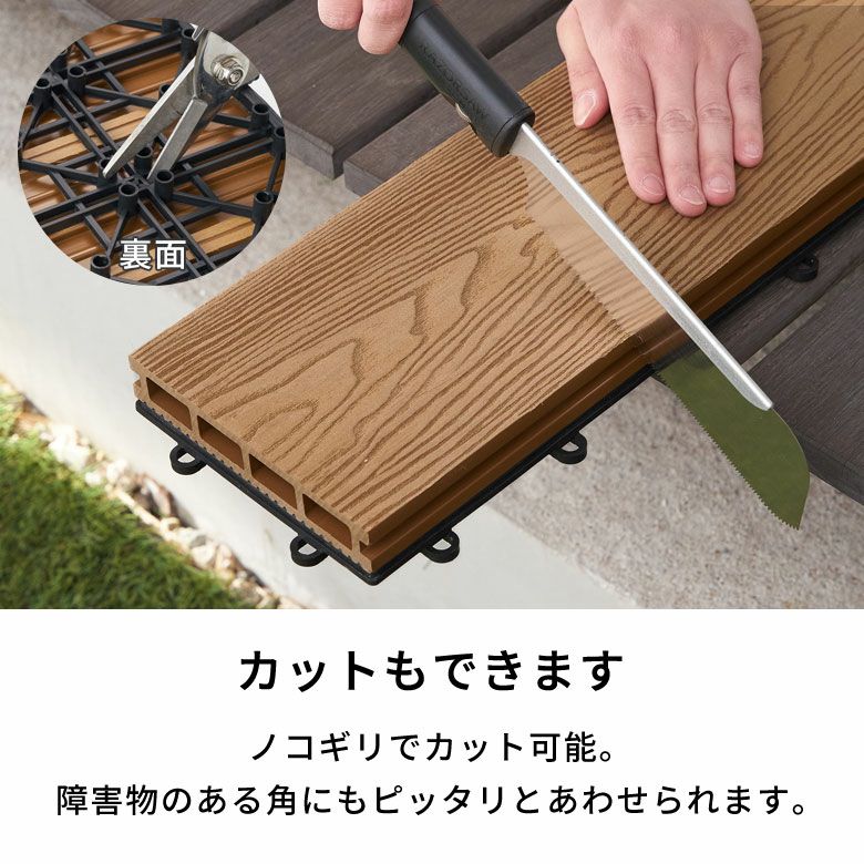 000000005604-16.jpg?size=l&w=