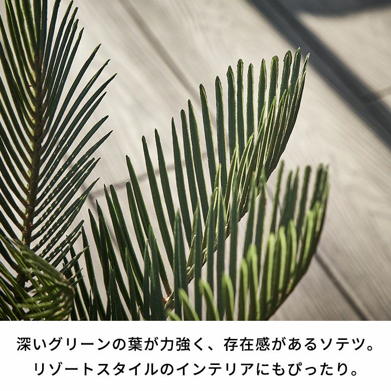 フェイクグリーン ソテツ 高さ 47cm 観葉植物 グリーン アーティ