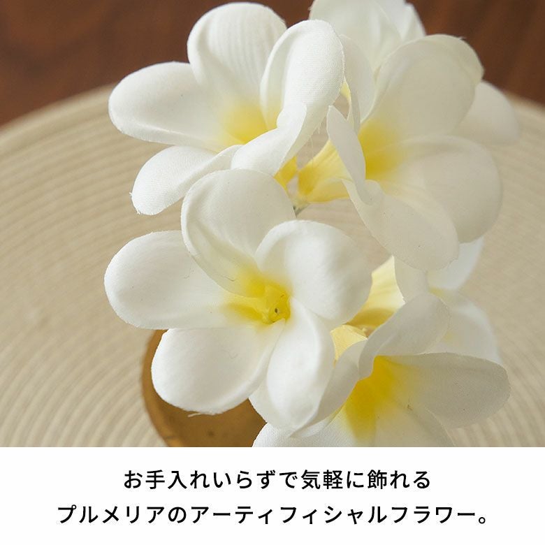 000000005642-02.jpg?size=l&w=