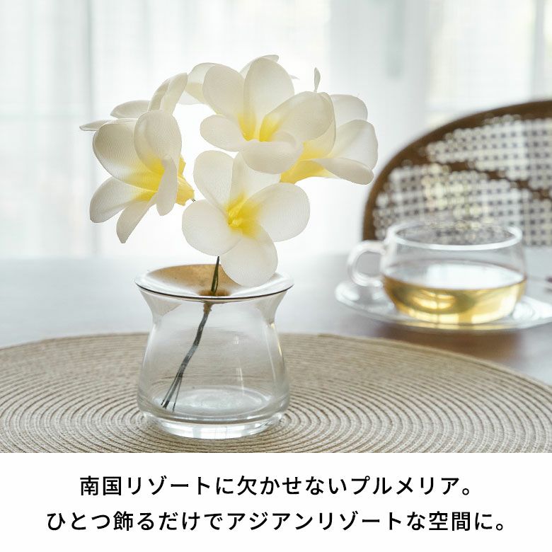 000000005642-03.jpg?size=l&w=