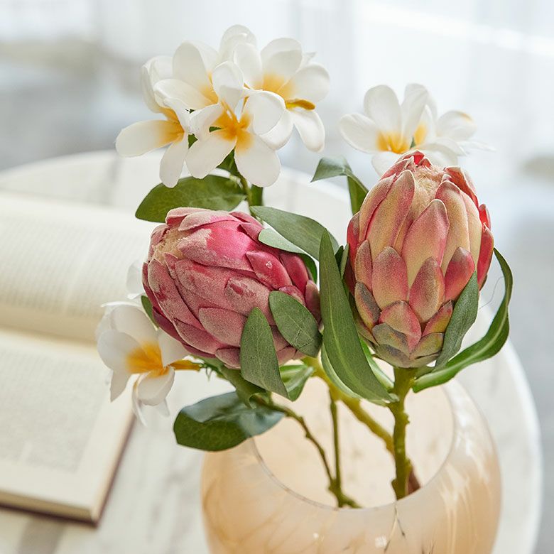 000000005645-10.jpg?size=l&w=