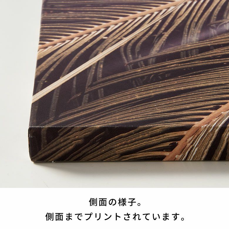 アートパネル ヤシ 葉 リーフ 葉っぱ キャンパス パネル 約 W 45cm D